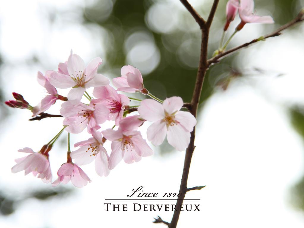 The Devereux Boutique Hotel Auckland Exteriör bild